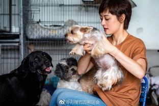 娱乐圈爆料流浪狗被抓了,流浪狗被抓,背后真相引人关注 第2张 娱乐圈爆料流浪狗被抓了,流浪狗被抓,背后真相引人关注 第2张